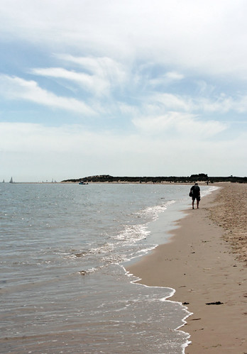 Shell Bay