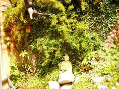 Brighton's garden   buddha and sculpture 1
