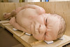 Ron Mueck Installation - "A Girl" by The Modern