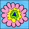 fluffhead flower explosion -1 • <a style="font-size:0.8em;" href="http://www.flickr.com/photos/9039476@N03/4599720152/" target="_blank">View on Flickr</a>