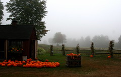 farmstand in mist
