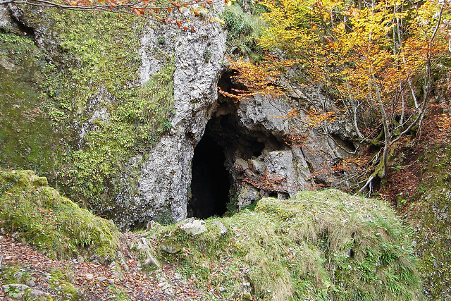 DSC07648 (Cueva La Corcoxa)