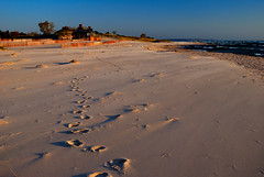 Footprints in the Sand • <a style="font-size:0.8em;" href="http://www.flickr.com/photos/29084014@N02/5149277636/" target="_blank">View on Flickr</a>