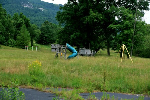 Overgrown playground equipment