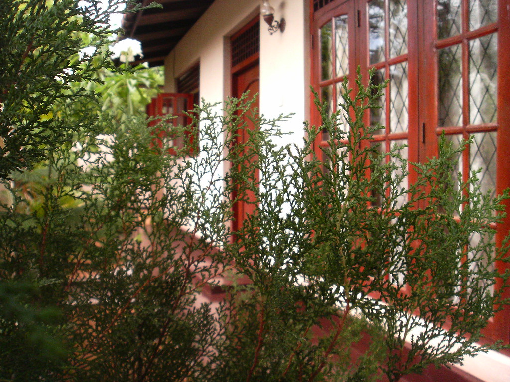 856747411_bcbf7242e5_b.jpg