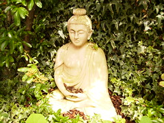 Brighton's garden   buddha and sculpture 3