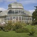 Botanic Gardens - Dublin, Ireland