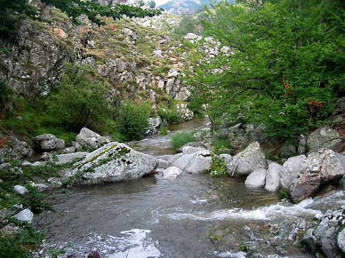 Ruisseau du Cuscione : le Partusu