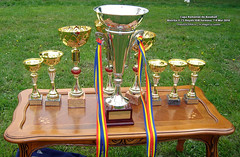 7-9 Mai 2010 » Cupa României de Baseball