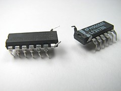 Chip bug versus chip bug