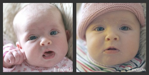 month to month