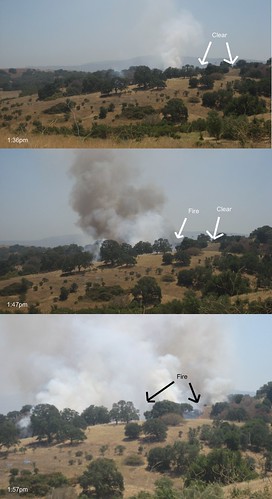 How quickly fire spreads