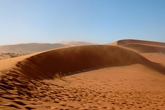 signs of a sandstorm, sossusvlei