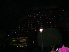 IMGP0234.JPG