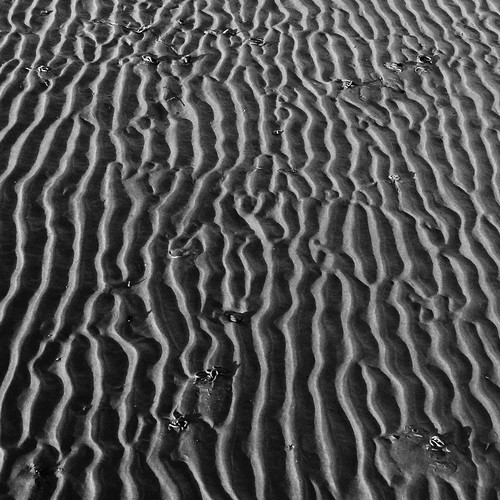 Ripples in the sand 2