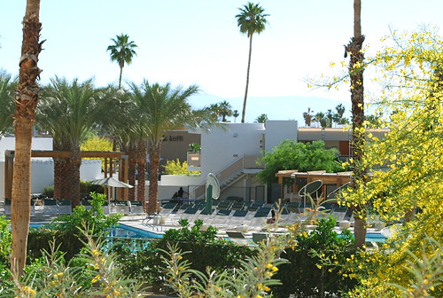 Ace Hotel Palm Springs pool