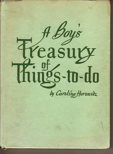 A Boy's Treasury of Things-to-do