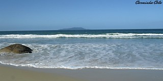 Litoral catarinense / Beach