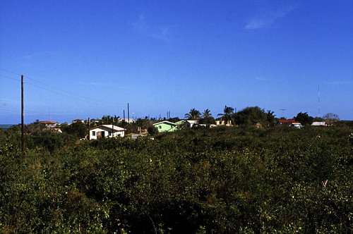 Bahamas 1989 (552) Great Exuma: Rolleville • <a style="font-size:0.8em;" href="http://www.flickr.com/photos/69570948@N04/25256892511/" target="_blank">Auf Flickr ansehen</a>