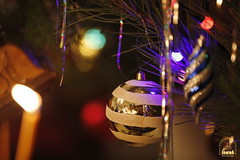 30. Christmas at Svyatogorsk Lavra / Рождество Христово в Лавре