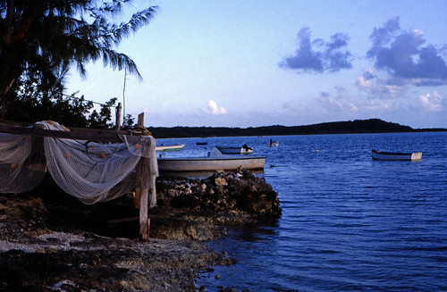Bahamas 1989 (615) Long Island: Deadman's Cay Settlement • <a style="font-size:0.8em;" href="http://www.flickr.com/photos/69570948@N04/25102777814/" target="_blank">Auf Flickr ansehen</a>