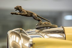 V zajetí Jaguaru