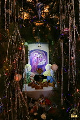 02. Christmas Carols in the Cathedral of the Dormition / Рождественские колядки в Успенском соборе