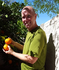 Fred picking oranges off Jim's tree