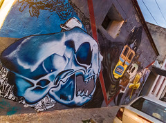 Graffiti Oaxaca