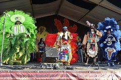Jazz Fest - Mardi Gras Indians