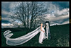 Veil • <a style="font-size:0.8em;" href="http://www.flickr.com/photos/23833647@N00/24067229820/" target="_blank">View on Flickr</a>