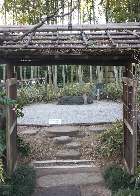 赤塚植物園いいところが近くにありました！...