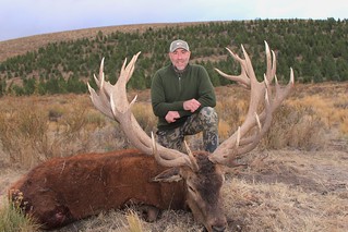 Red Stag Hunt Argentina - Patagonia 44