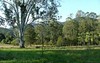 299 Callaghans Creek Road, Bundook NSW