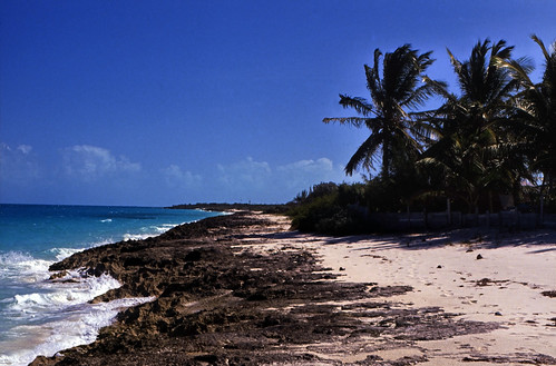 Bahamas 1989 (537) Little Exuma • <a style="font-size:0.8em;" href="http://www.flickr.com/photos/69570948@N04/25078550192/" target="_blank">Auf Flickr ansehen</a>
