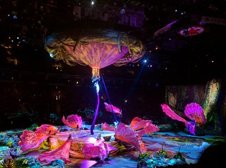 TORUK Cirque du Soleil | Photo: Nick Lee