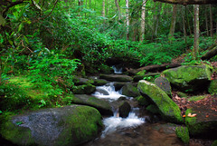 Small Fall In Smoky Mts