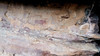 Pinturas rupestres, Villar del Humo, Cuenca