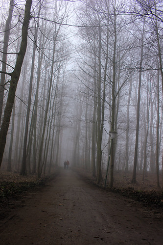 Wald im Nebel (10) • <a style="font-size:0.8em;" href="http://www.flickr.com/photos/69570948@N04/25217142022/" target="_blank">Auf Flickr ansehen</a>