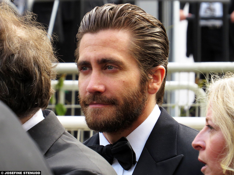 20150524_25k Jake Gyllenhaal | The Cannes Film Festival 2015 | Cannes, France<br/>© <a href="https://flickr.com/people/72616463@N00" target="_blank" rel="nofollow">72616463@N00</a> (<a href="https://flickr.com/photo.gne?id=24610020973" target="_blank" rel="nofollow">Flickr</a>)