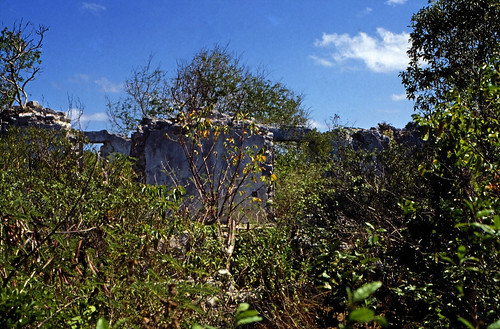 Bahamas 1989 (745) Long Island: Adderley's Plantation • <a style="font-size:0.8em;" href="http://www.flickr.com/photos/69570948@N04/25891571010/" target="_blank">Auf Flickr ansehen</a>