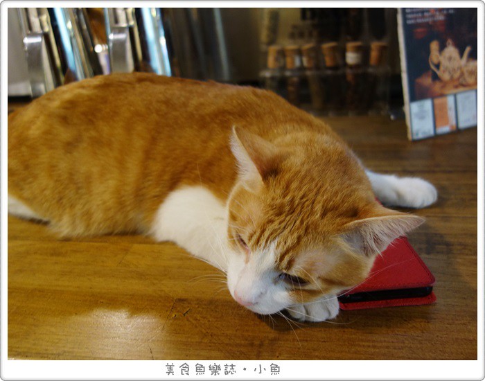 【台北東區】Toast Chat貓咪咖啡店/早午餐/咖啡/下午茶 @魚樂分享誌