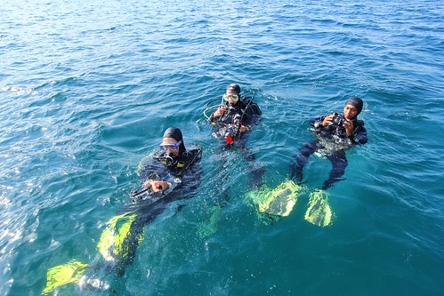 Bastianos Lembeh Diving Resort9
