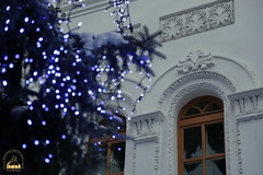 The Adornment of the Christmas Tree / Украшение рождественской ели (8)