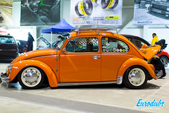 VW Club Fest 2016 • <a style="font-size:0.8em;" href="http://www.flickr.com/photos/54523206@N03/25452171363/" target="_blank">View on Flickr</a>