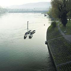 Morgenstimmung über dem Rhein