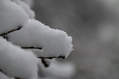 Fresh snow by alvaroreguly, on Flickr