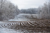 Plowed Field Cont • <a style="font-size:0.8em;" href="http://www.flickr.com/photos/65051383@N05/25946425342/" target="_blank">View on Flickr</a>