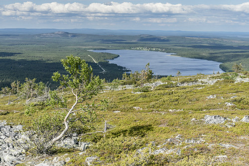 Parc National de Pyhä-Luosto