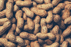 food-peanuts by pixellaphoto, on Flickr
